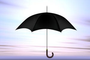 Personal Umbrella Insurance in Redmond, WA