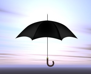 Personal Umbrella Insurance in Redmond, WA 